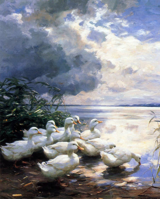  Alexander Koester Ducks in the Morning - Canvas Print