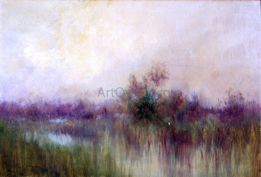 Alexander John Drysdale Early Morning in a Louisiana Marsh - Canvas Print