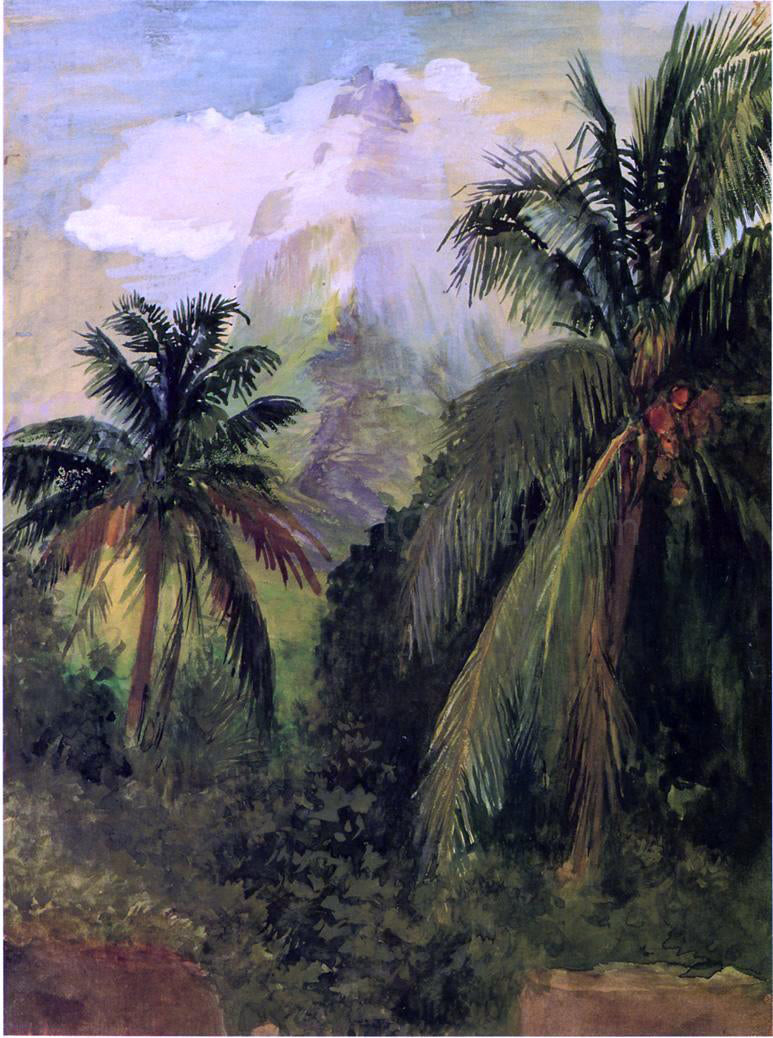  John La Farge Early Morning, Uponohu, Looking South Towards Peak of Maua Roa, from Our Hiuse, Garden Wall in Front - Canvas Print