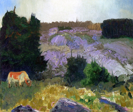  George Wesley Bellows Edge of the Pasture - Glow of the Sun - Canvas Print