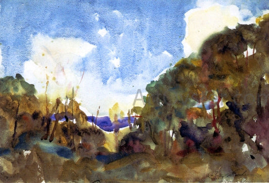  Charles Webster Hawthorne Edge of the Woods - Canvas Print