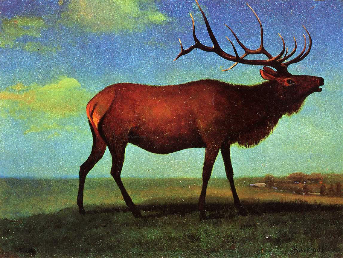  Albert Bierstadt Elk - Canvas Print