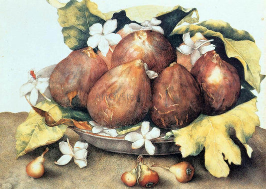  Giovanna Garzoni Figs - Canvas Print