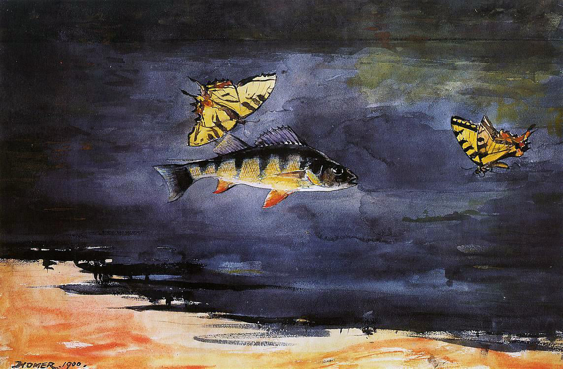  Winslow Homer Fish and Butterflies - Canvas Print