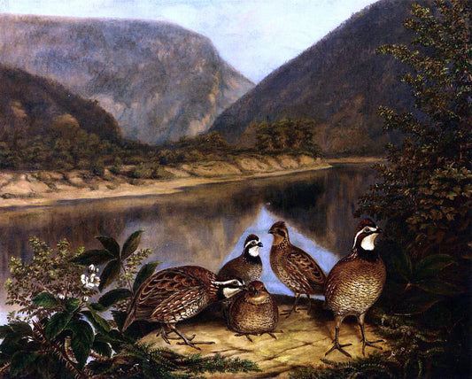  II Titian Ramsey Peale Five Bobwhites at the Delaware Water Gap - Canvas Print