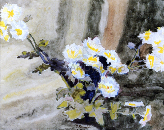  Charles Demuth Floral Still Life (also known as Wild Daisies) - Canvas Print