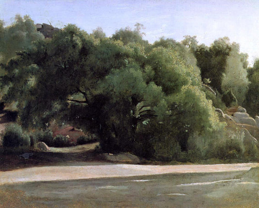  Jean-Baptiste-Camille Corot Fontainebleau - the Chailly Road - Canvas Print