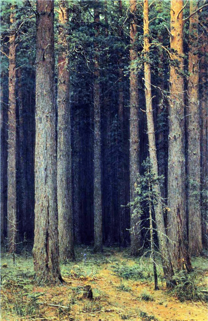  Ivan Ivanovich Shishkin Forest Reserve, Pine Grove - Canvas Print