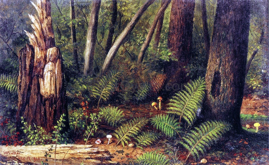  William Aiken Walker Forest with Ferns and Mushrooms - Canvas Print