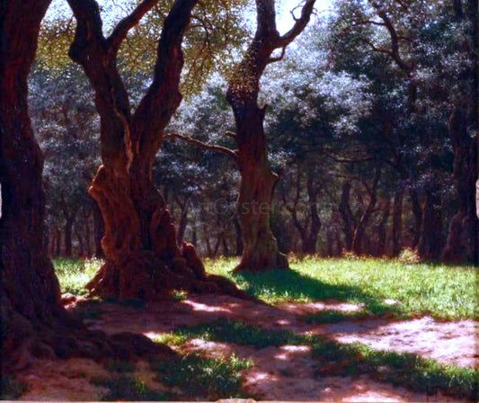  Ivan Fedorovich Choultse Foret D'Oliviers a Cap St. Martin - Canvas Print