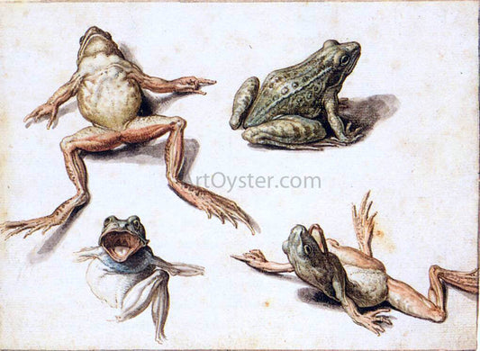  Jacob De II Gheyn Four Studies of Frogs - Canvas Print