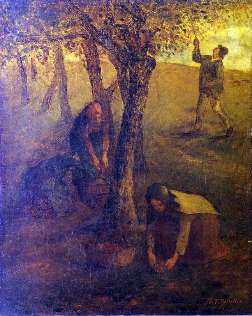  Jean-Francois Millet Gathering Apples - Canvas Print