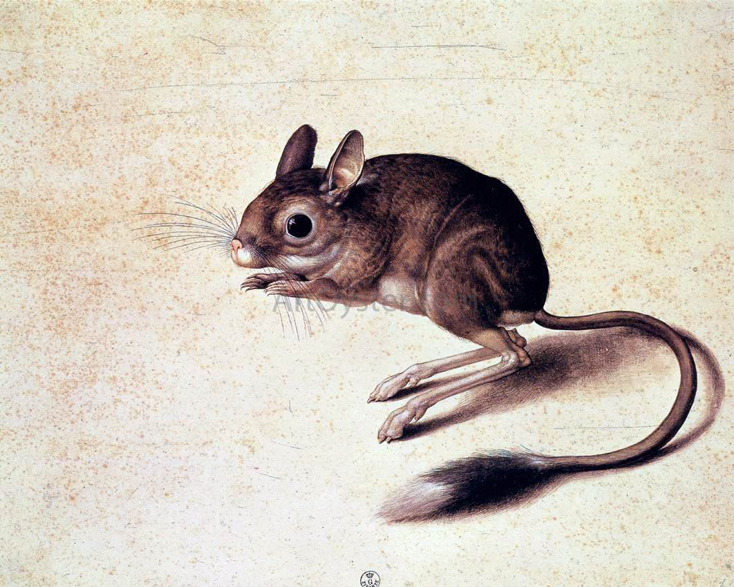  Jacopo Ligozzi Gerbil - Canvas Print