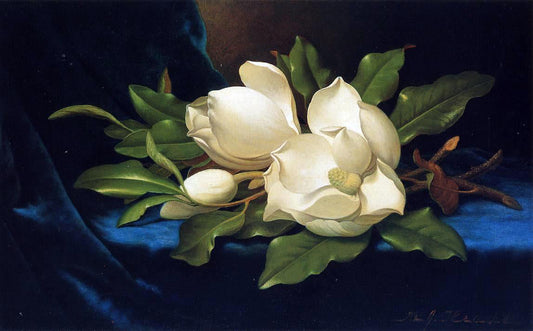  Martin Johnson Heade Giant Magnolias on a Blue Velvet Cloth - Canvas Print