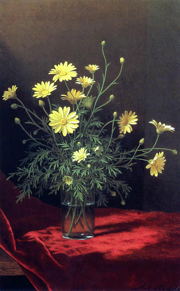  Martin Johnson Heade Golden Marguerites - Canvas Print