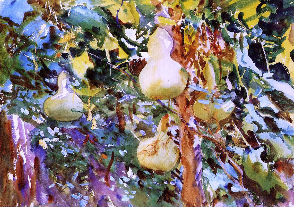  John Singer Sargent Gourds - Canvas Print