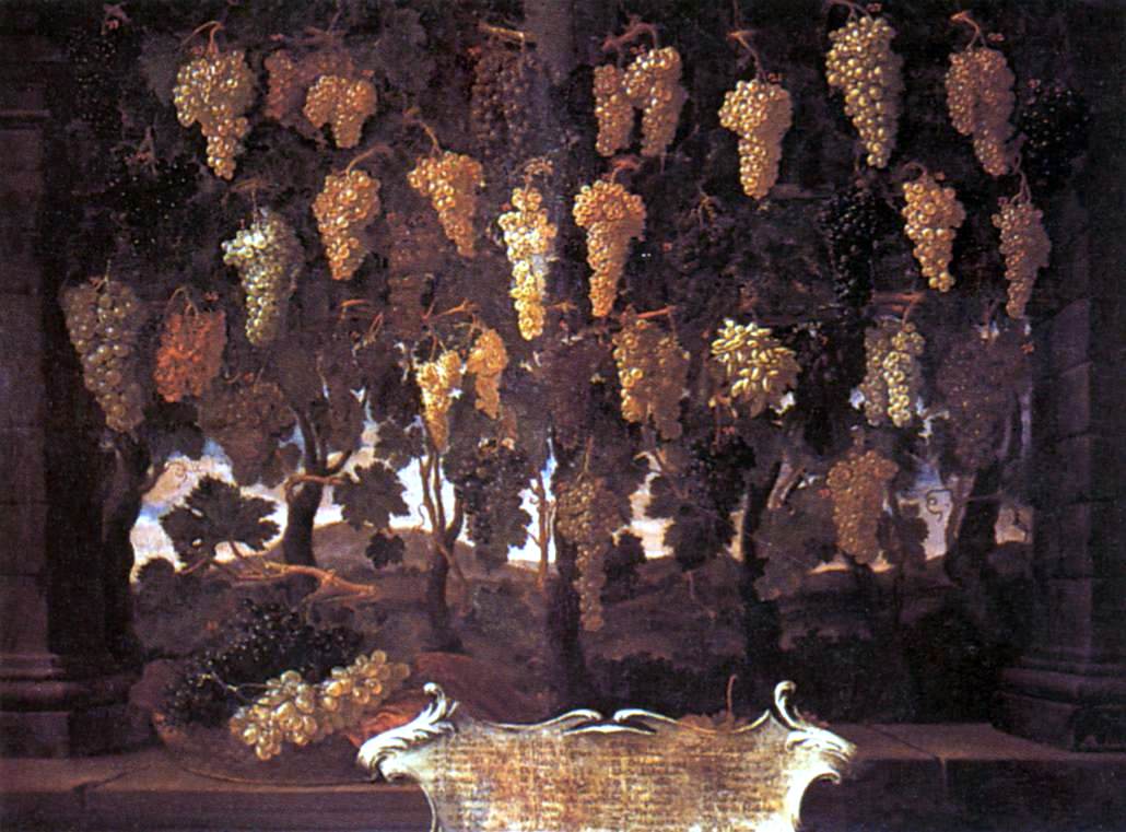  Bartolomeo Bimbi Grapes - Canvas Print