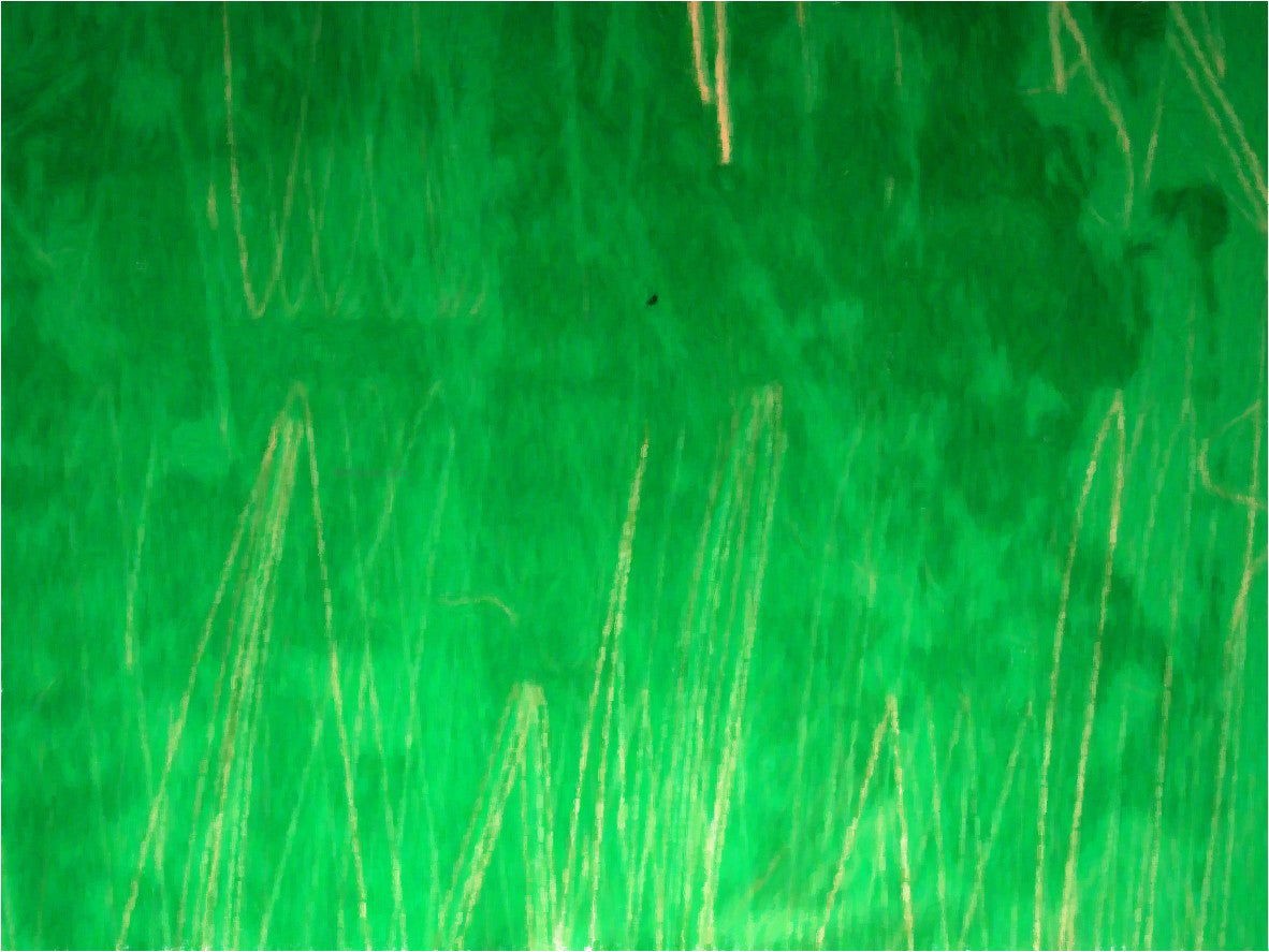  Our Original Collection Green Grass Abstract - Canvas Print