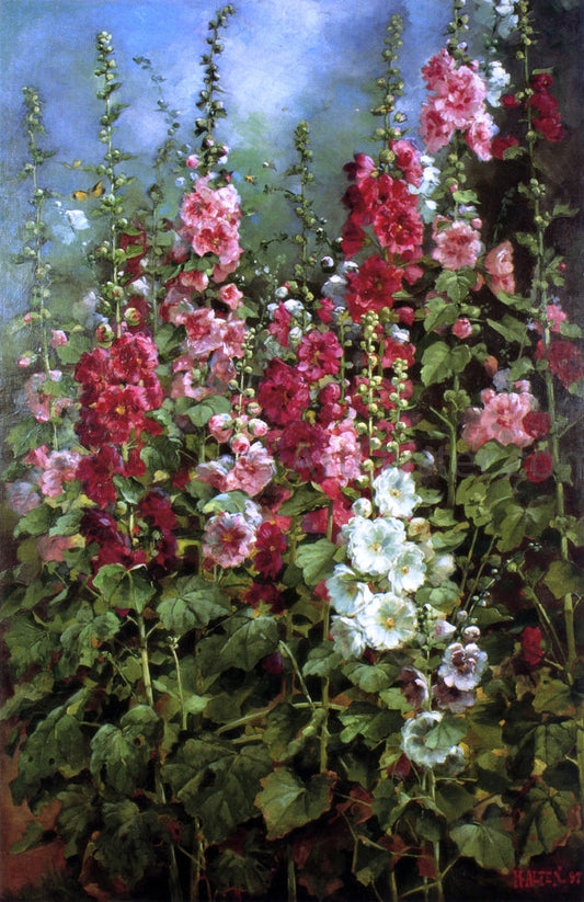  Mathias J Alten Hollyhocks - Canvas Print