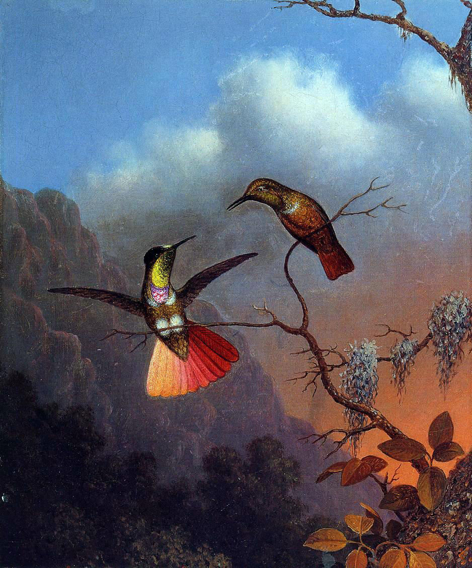  Martin Johnson Heade Hooded Visorbearer - Canvas Print