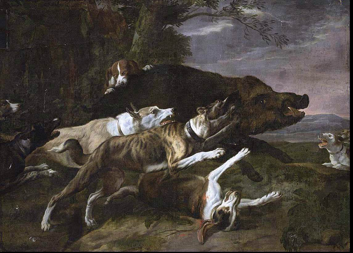 Pieter Boel Hounds Assailing a Boar Canvas Print – Art MegaMart