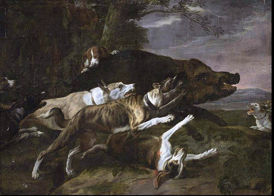  Pieter Boel Hounds Assailing a Boar - Canvas Print