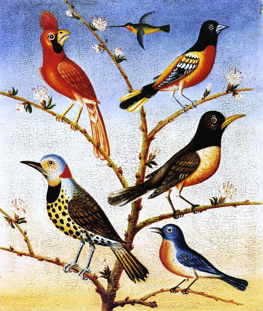  Thomas Coke Ruckle Humming Bird, Red Bird, Baltimore Bird, Robbin, Flicker, Blue Bird - Canvas Print
