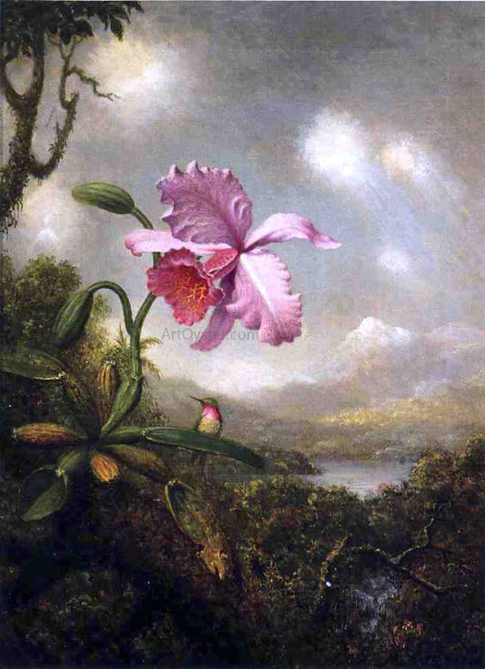  Martin Johnson Heade Hummingbird and Orchid: Sun Breaking Through the Clouds - Canvas Print