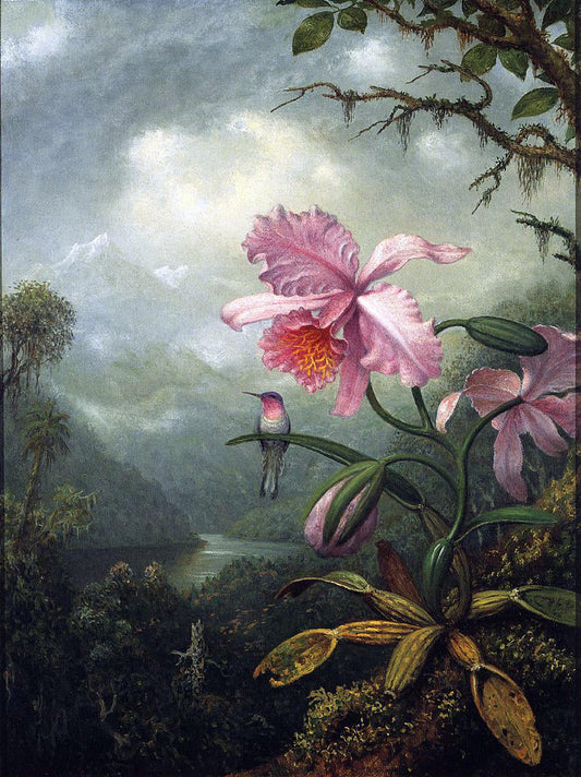  Martin Johnson Heade Hummingbird Perched on an Orchid Plant - Canvas Print