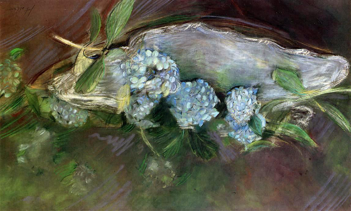  Paul Cesar Helleu Hydrangeas - Canvas Print