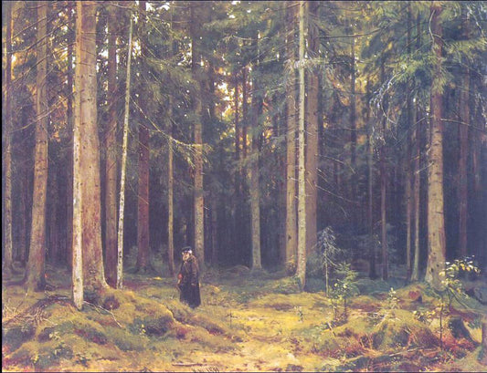  Ivan Ivanovich Shishkin In the Forest of Countess Mordvinova, Petergof - Canvas Print