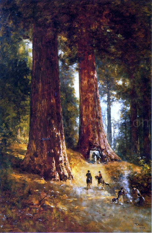 Thomas Hill In the Redwoods - Canvas Print