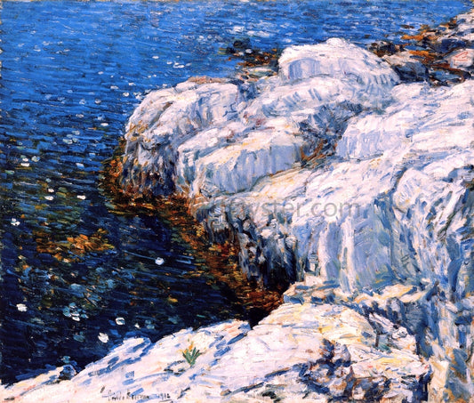  Frederick Childe Hassam Jelly Fish - Canvas Print
