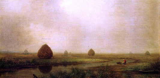  Martin Johnson Heade Jersey Marshes - Canvas Print