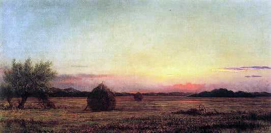  Martin Johnson Heade Jersey Meadows with Ruins of a Haycart - Canvas Print