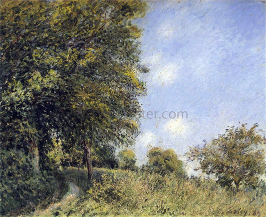  Alfred Sisley July Afternoon near the Forest - Canvas Print