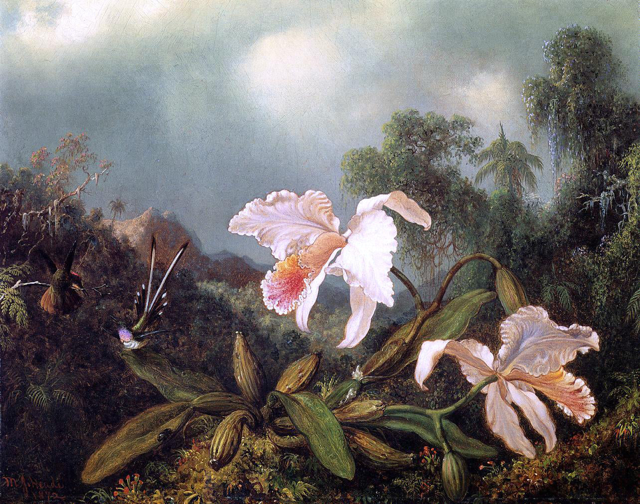  Martin Johnson Heade Jungle Orchids and Hummingbirds - Canvas Print