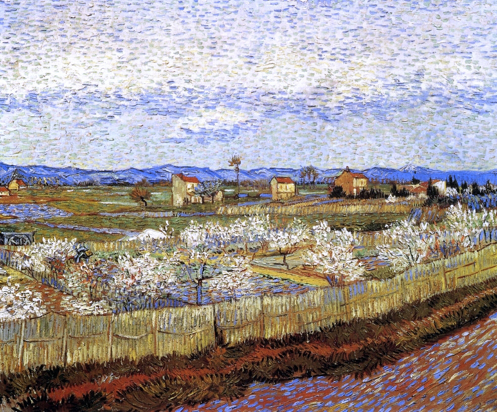  Vincent Van Gogh La Crau with Peach Trees in Bloom - Canvas Print