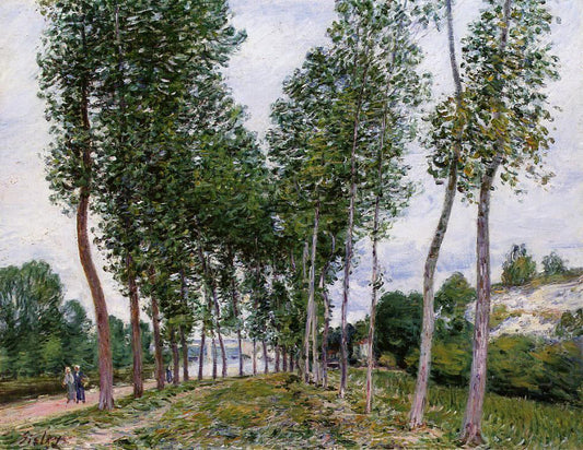  Alfred Sisley Lane of Poplars on the Banks of the Loing - Canvas Print