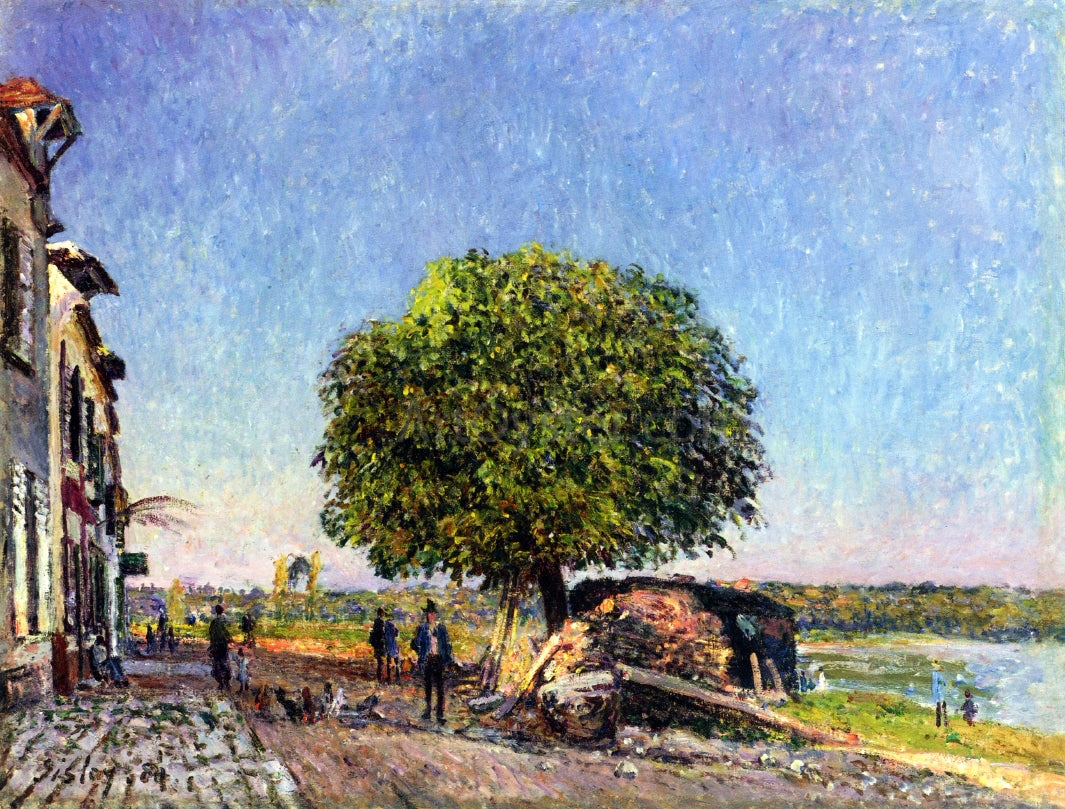  Alfred Sisley Le Marronier a Saint-Mammes - Canvas Print