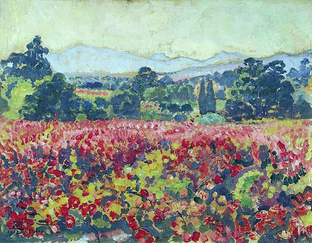  Theo Van Rysselberghe Les vignes a Saint-Clair - Canvas Print