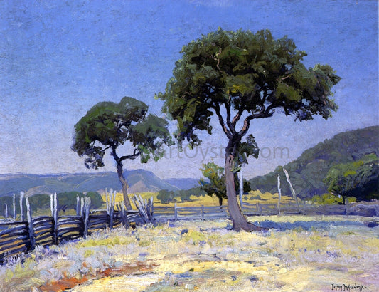  Julian Onderdonk Live Oak Trees On Williams' Ranch, Bandera County - Canvas Print