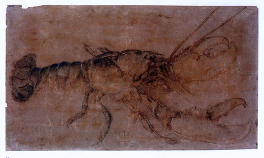  Albrecht Durer Lobster - Canvas Print