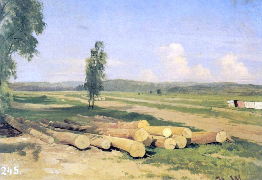  Ivan Ivanovich Shishkin Logs (etude) - Canvas Print