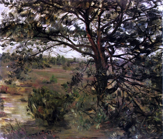  Lovis Corinth Luneberger Heide - Canvas Print