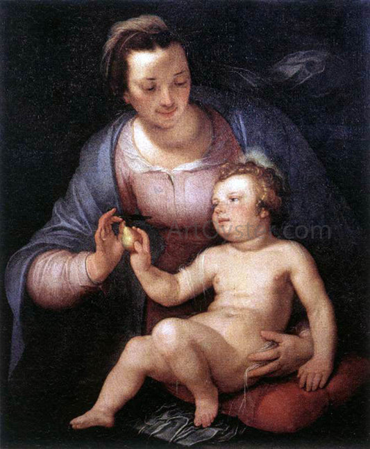  Cornelis Van Haarlem Madonna and Child - Canvas Print
