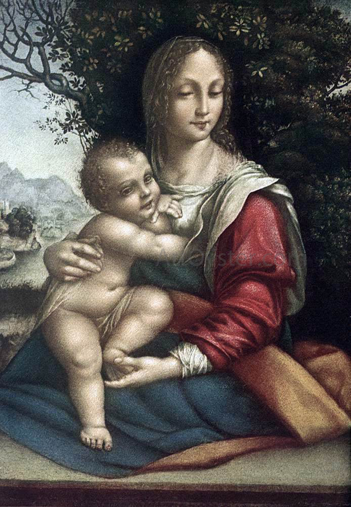  Cesare Da Sesto Madonna and Child - Canvas Print