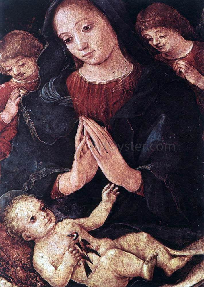  Liberale Da Verona Madonna del Cardellino - Canvas Print