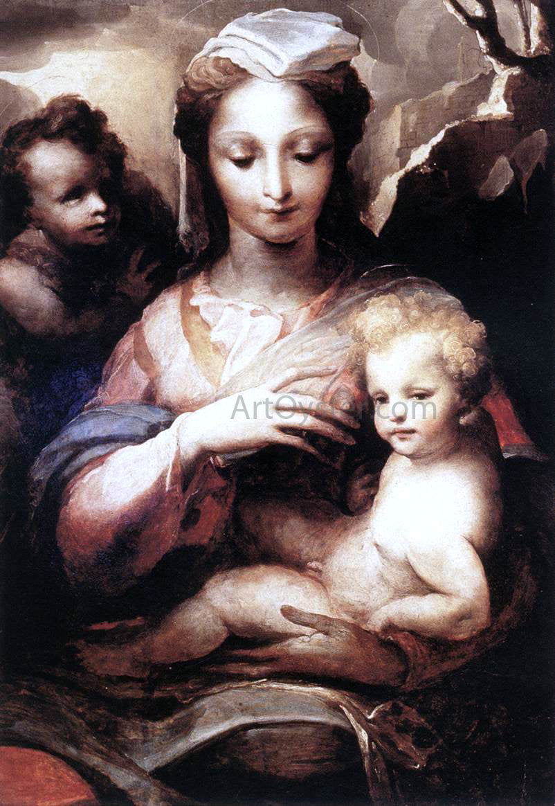  Domenico Beccafumi Madonna with the Infant Christ and St John the Baptist - Canvas Print