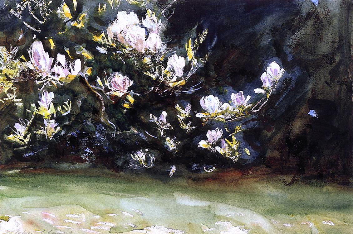  John Singer Sargent Magnolias - Canvas Print